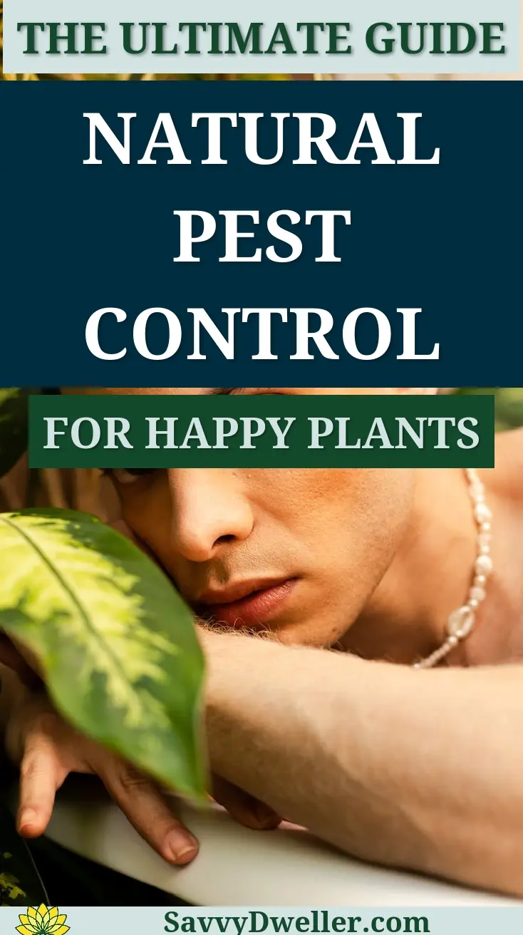 A beginner's guide to natural pest control strategies for indoor plants.