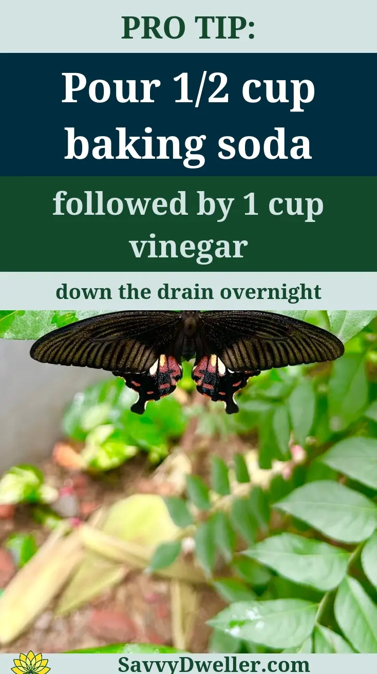Image showing a pro tip on using baking soda and vinegar to eliminate drain flies