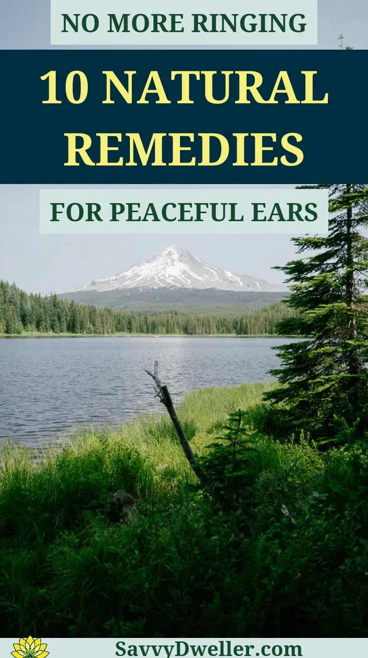 Scenic landscape featuring nature, relates to natural remedies for tinnitus relief