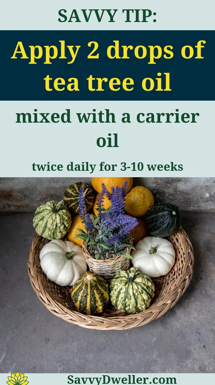 A basket of various squashes and flowers with a tip for using tea tree oil for wart removal.