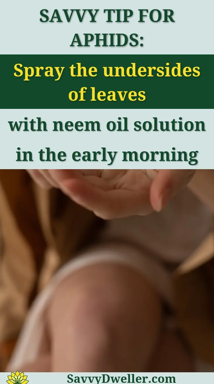 Close-up of hands applying skincare product from a spray bottle, highlighting self-care routine.
