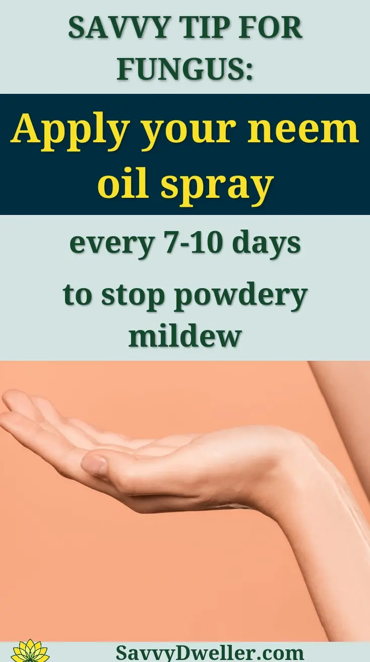 Close-up of hand applying serum with dropper on peach background. Perfect for beauty and skincare themes.