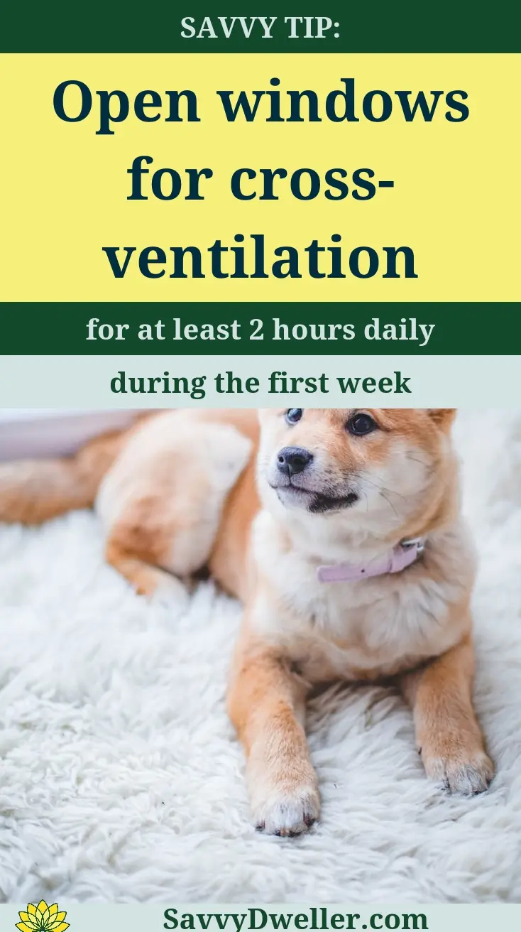 A tip to open windows for cross-ventilation to eliminate VOCs from new carpet.