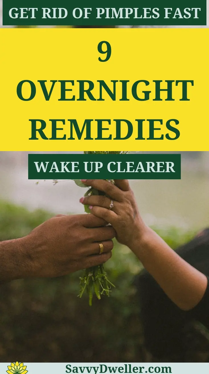 Hands holding a plant symbolizing natural remedies for pimples, related to overnight treatments.
