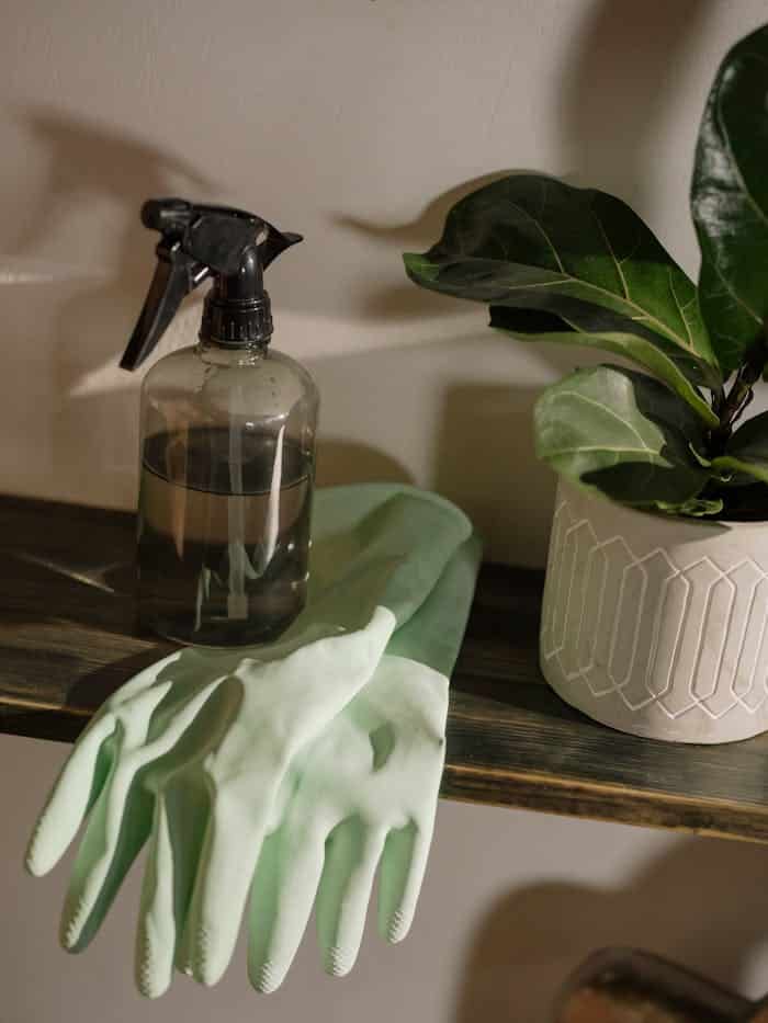 about-02 A stylish cleaning setup featuring green gloves, a spray bottle, and a potted plant.