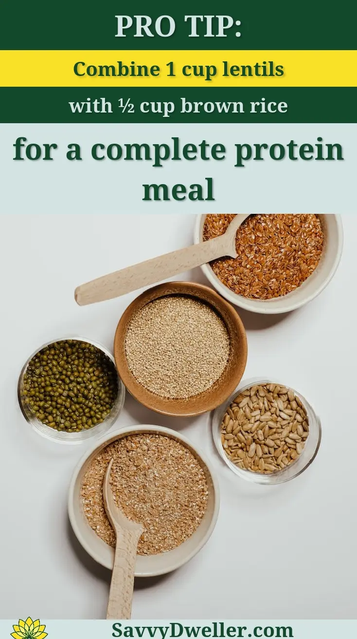 Various plant-based protein sources including lentils, brown rice, and seeds.