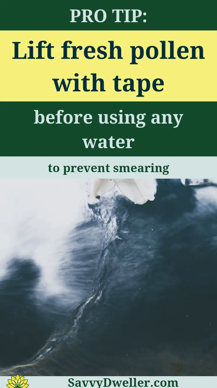 Guide to Removing Tough Pollen Stains with Pro Tip