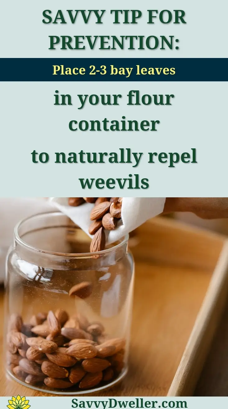 Bay leaves added to a flour container to prevent weevils.