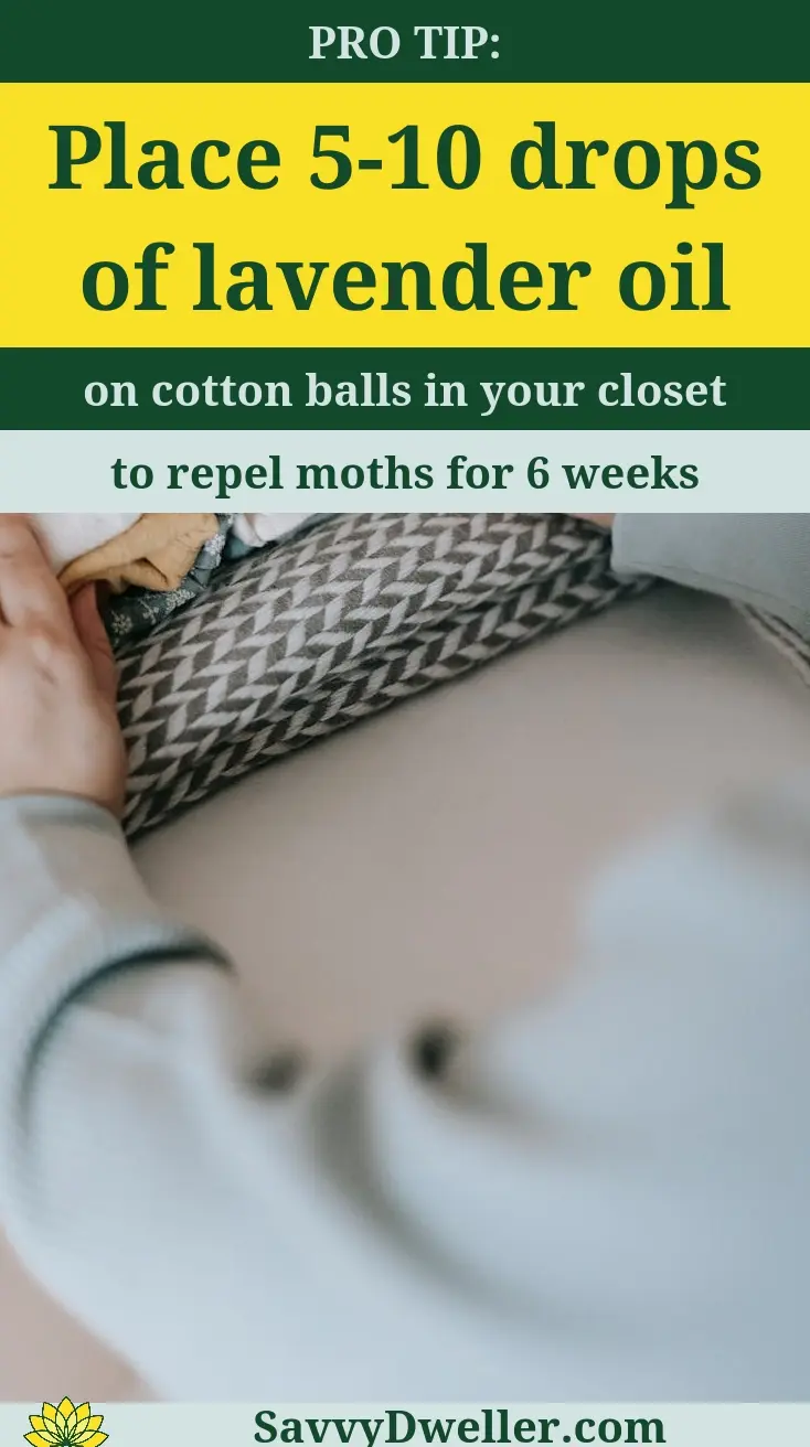 A person applying lavender oil on cotton balls to naturally repel moths from wool and cashmere clothes.