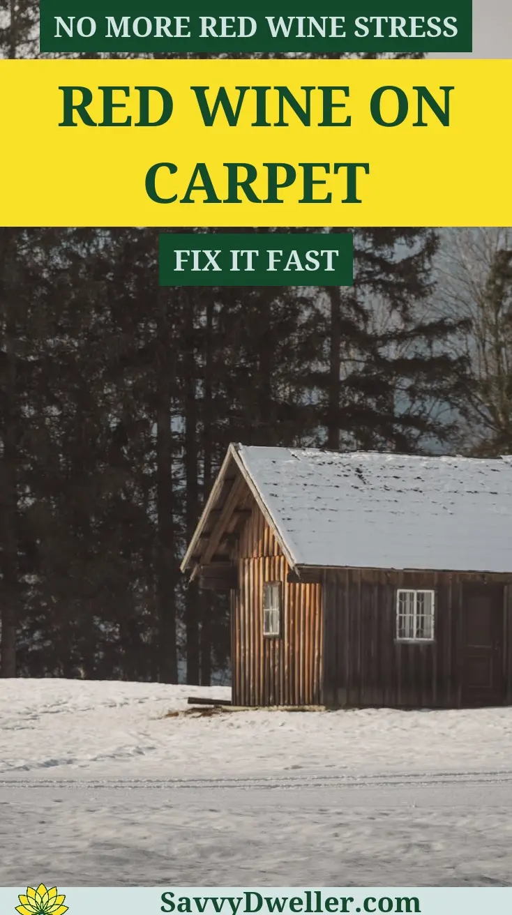 A wooden cabin in a snowy setting, illustrating solutions for red wine stains on carpets