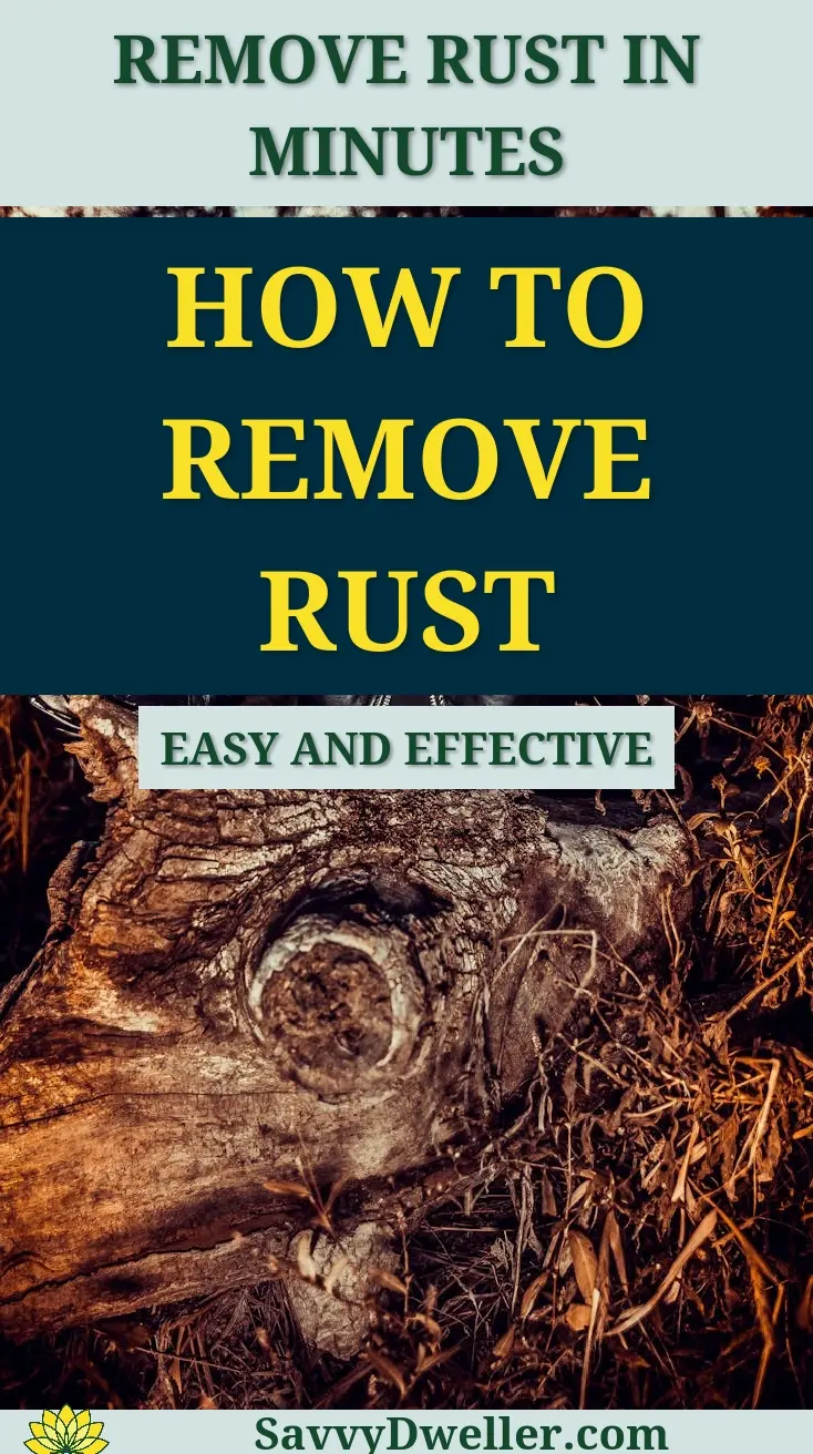 Image showing methods to remove rust from knives and stainless steel tools.