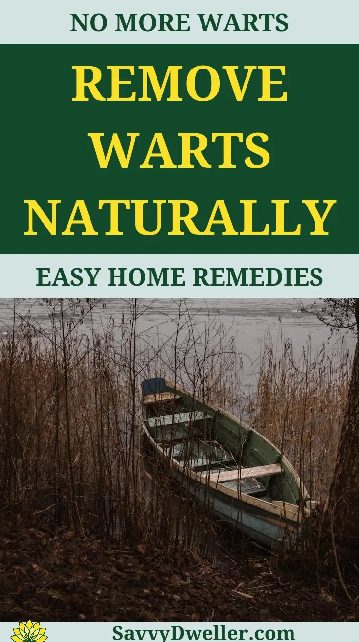 A boat by the shore symbolizing natural remedies for wart removal at home.
