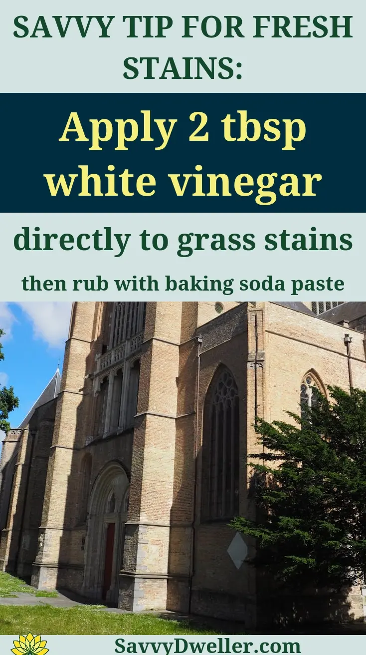 Tips for Removing Grass Stains from Jeans and Sneakers