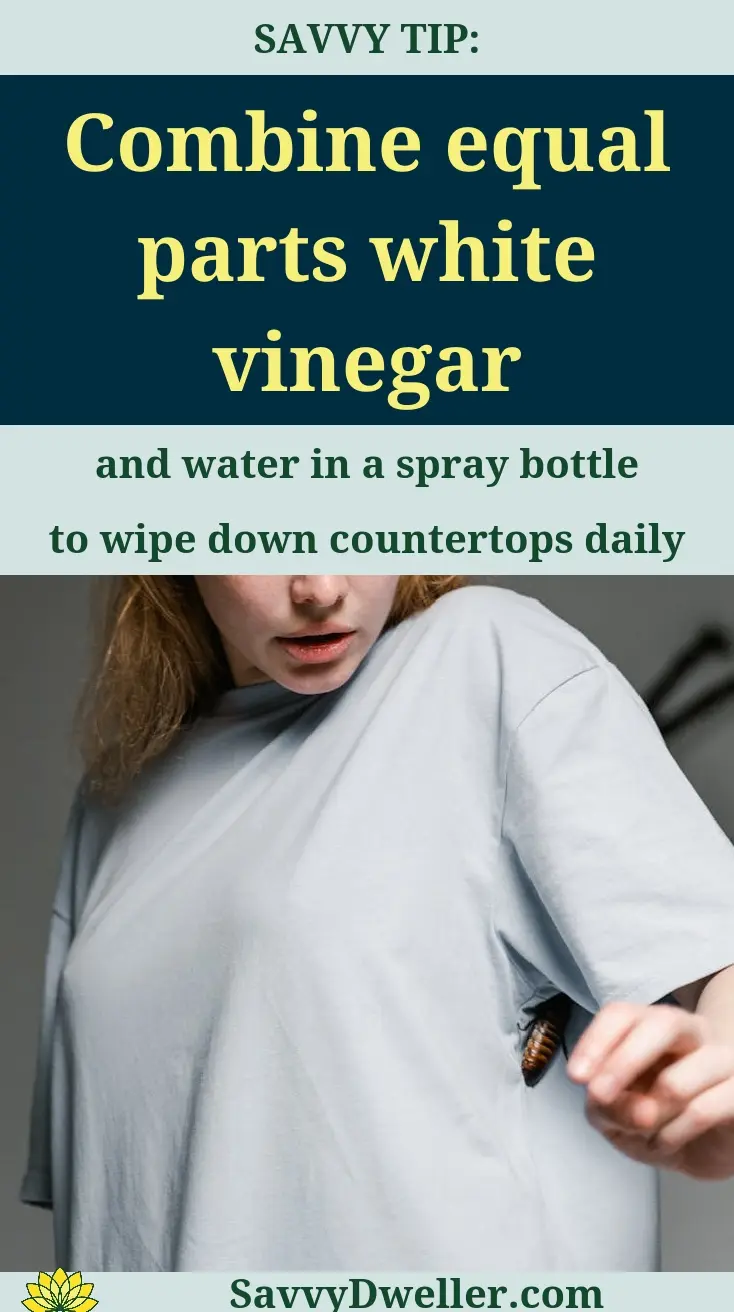 A person holding a spray bottle filled with equal parts white vinegar to repel roaches.