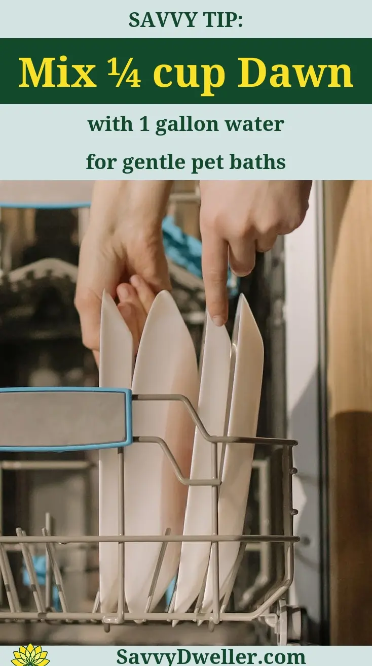 Person placing plates in a dishwasher, showcasing one of the cleaning uses for rubbing alcohol