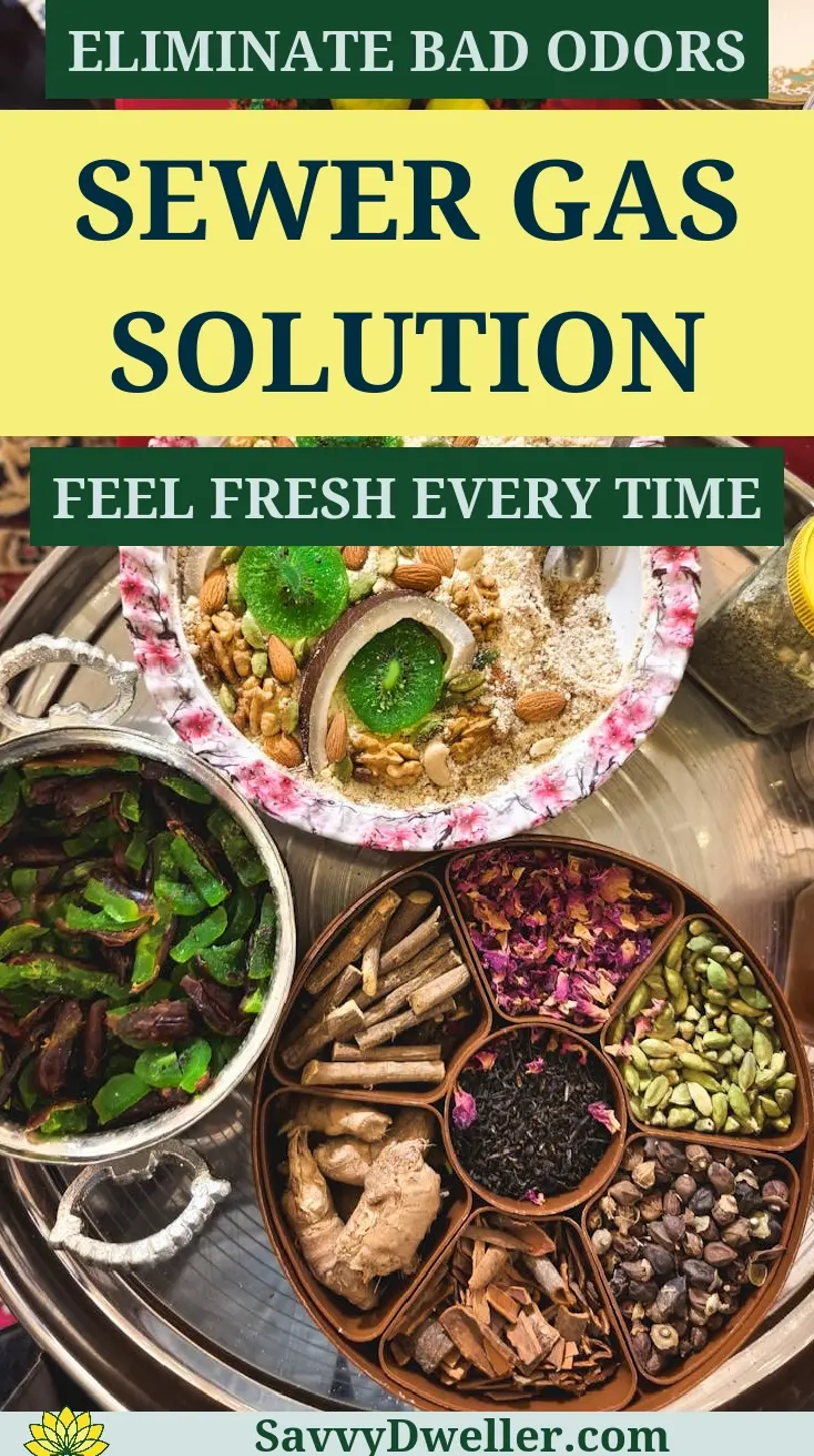 Natural remedies and solutions to eliminate sewer gas smell in bathroom