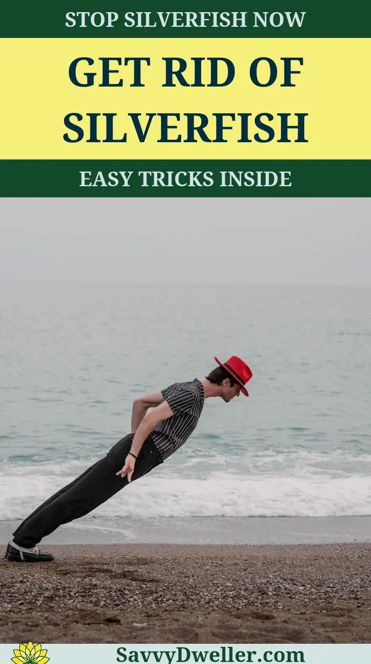 Effective methods to eliminate silverfish in bathrooms and closets