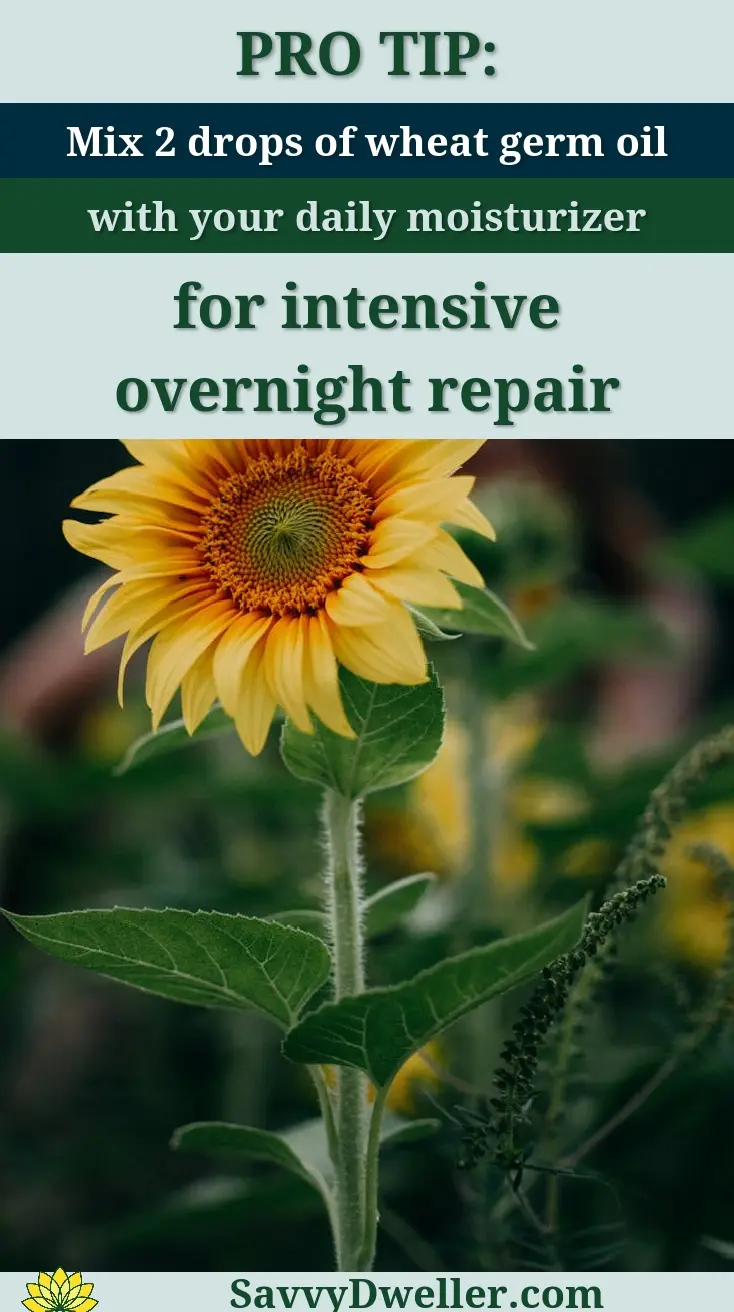 Close-up of a vibrant sunflower in a lush green field on a bright summer day.