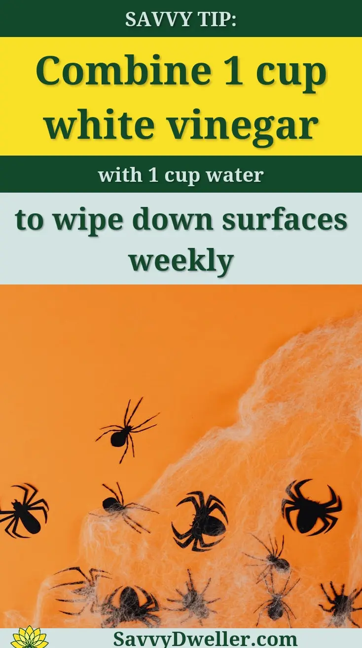 Spooky spiders and web on orange background, perfect for Halloween.