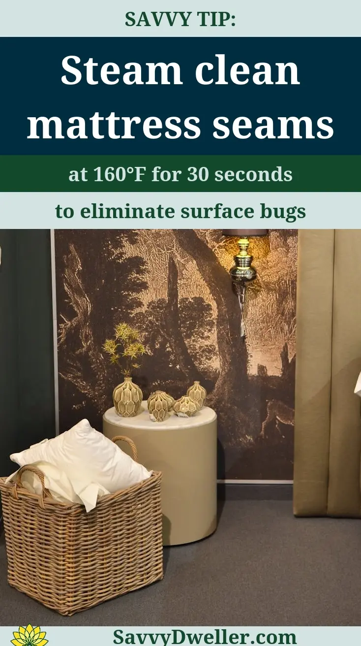 Steam cleaning mattress seams to eliminate bed bugs effectively.