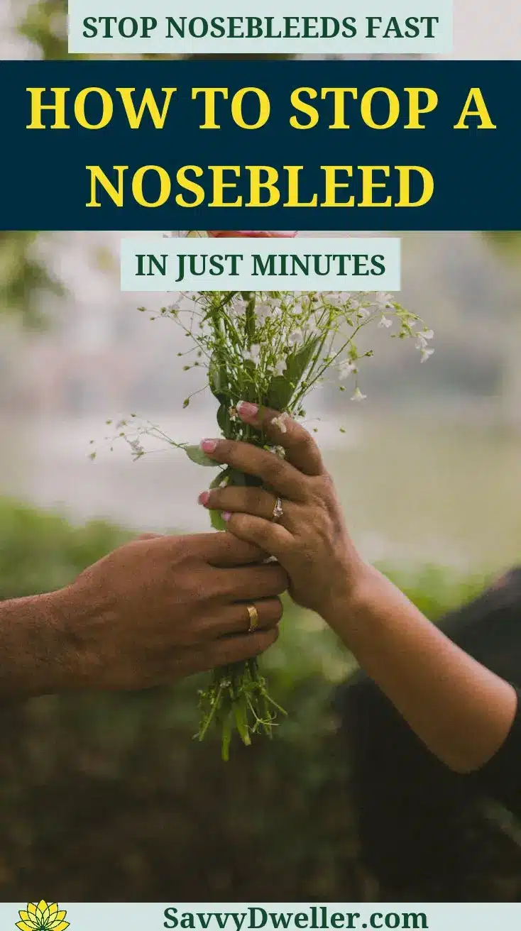 An image showing hands holding flowers, related to how to stop a nosebleed quickly and safely.