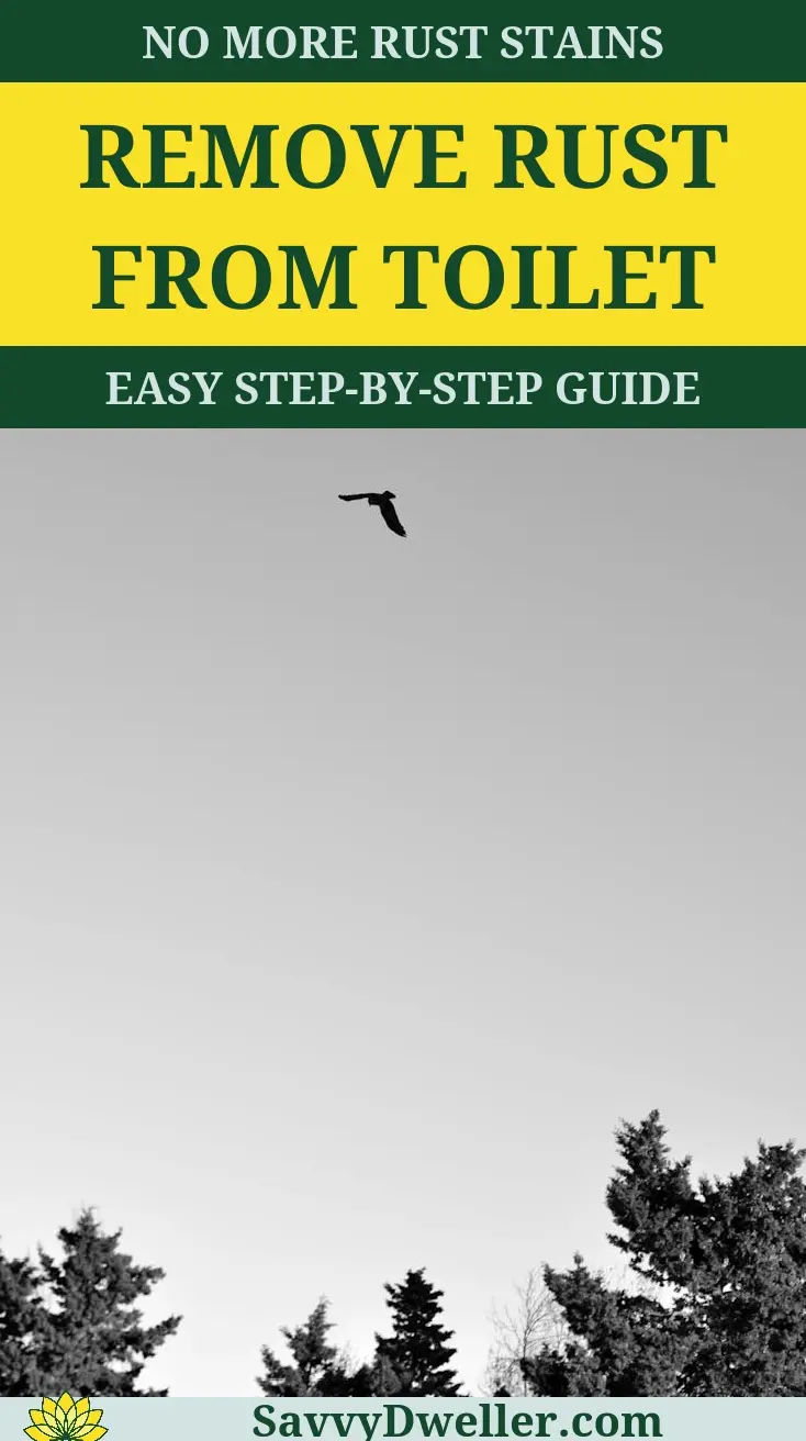 Comparison of Sugar Ants and Carpenter Ants for identification and removal