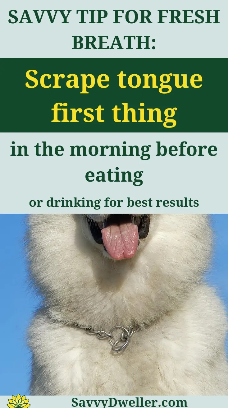 A visual guide to scraping your tongue for better breath and oral health