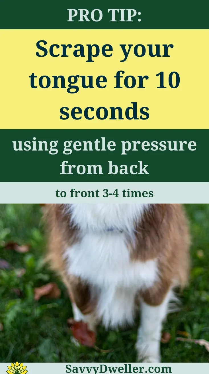 A tip on how to scrape your tongue for improved breath and oral health.