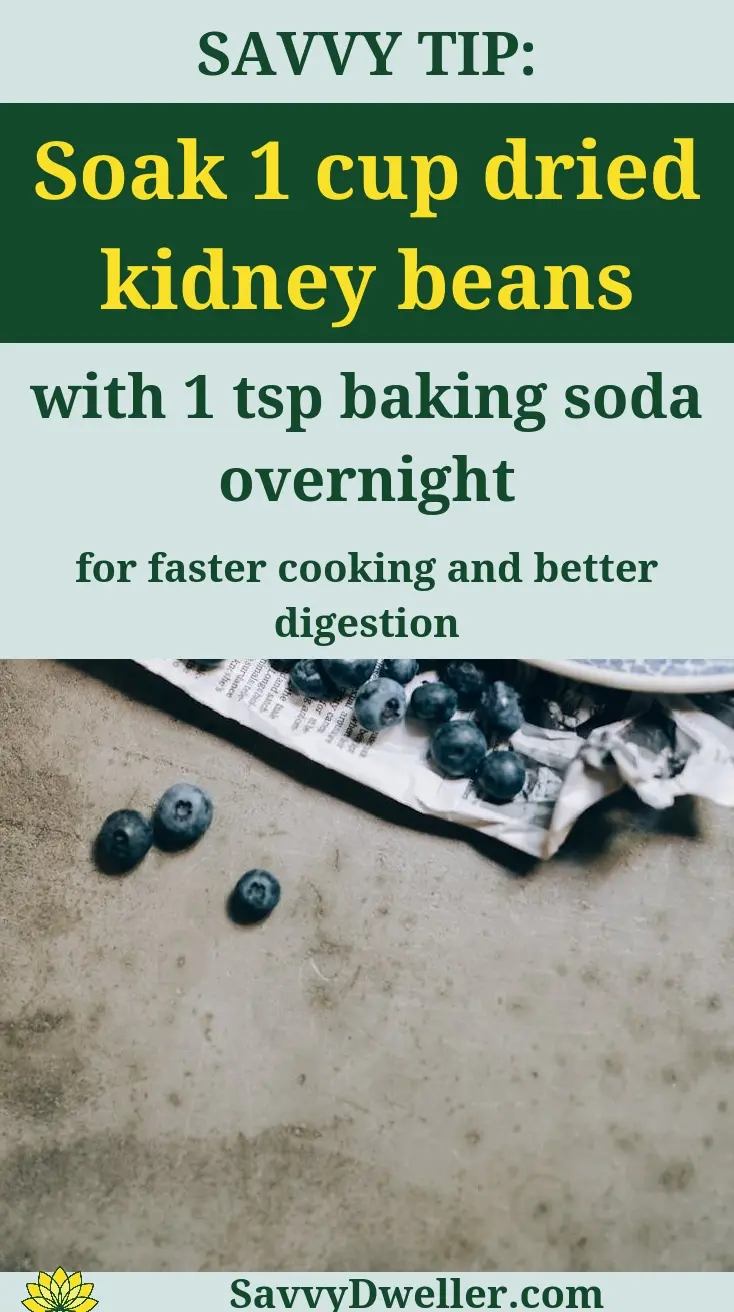 Blueberries and kidney beans, two of the top antioxidant-rich foods.