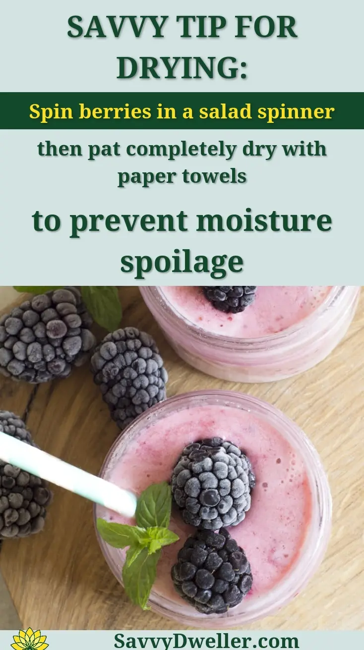 Enjoy a refreshing blackberry smoothie topped with fresh mint leaves, perfect for a summer treat.