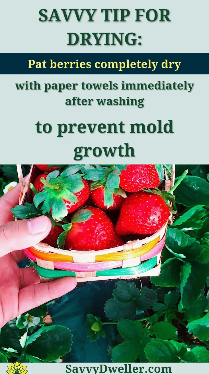 Hand holding a vibrant basket of fresh strawberries against lush green leaves, capturing harvest essence.