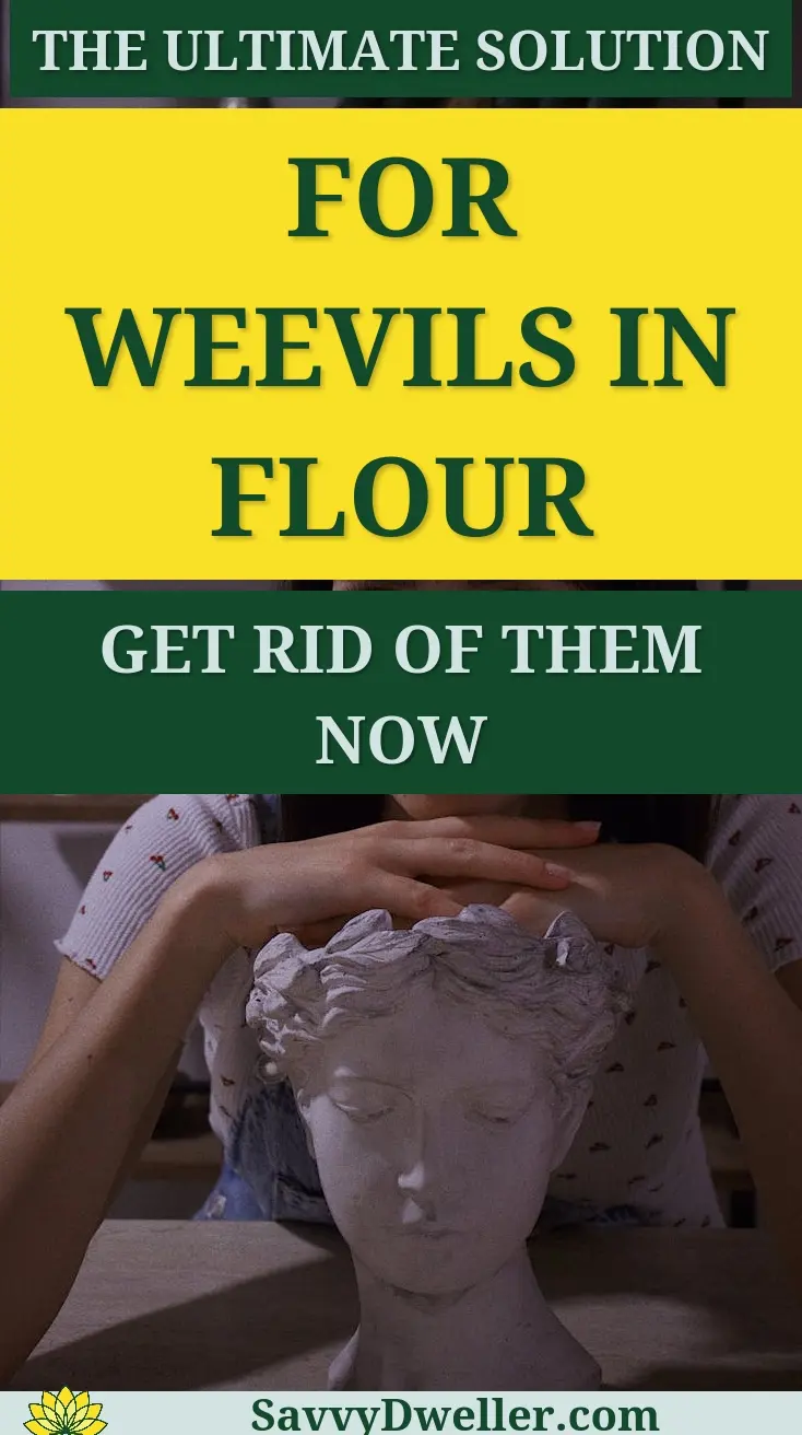 Woman contemplating a solution for weevils in flour infestation